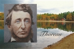 Thoreau at Walden Pond Postcard - Bonnie McGrath