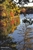 Autumn Comes to Walden Pond Postcard - Bonnie McGrath