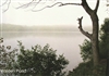 A Cloudy Day at Walden Postcard - Bonnie McGrath