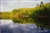 Summer Reflections at Walden Pond Postcard - Bonnie McGrath