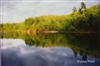 Summer Reflections at Walden Pond Postcard - Bonnie McGrath