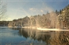 Snow Sprites on Walden Pond Postcard - Alice Wellington