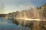 Snow Sprites on Walden Pond Postcard - Alice Wellington