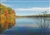 Walden Pond from Ice Fort Cove Postcard - Alice Wellington