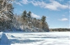 Winter Day at Walden Pond Postcard - Alice Wellington
