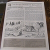 Thoreau Society Bulletin 324 Winter / Spring 2024