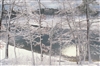 Walden Pond in Winter Postcard - Jim McGrath