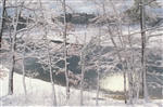 Walden Pond in Winter Postcard - Jim McGrath