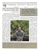 Thoreau Society Bulletin 331 Winter 2026