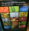 The Walden Pond Collection (poster) - Tim Laman, photographer