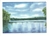 Walden Pond Postcard - Susan McAllister