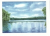 Walden Pond Postcard - Susan McAllister