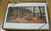 Woodland Visitors Notecards, Set of 10 - Nicholas Santoleri