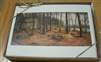 Woodland Visitors Notecards, Set of 10 - Nicholas Santoleri