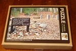 House Foundation Markers at Walden Pond - Jigsaw Puzzle (100 Pieces)