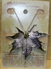 Silver Sugar Maple Leaf Necklace