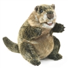 Groundhog Puppet